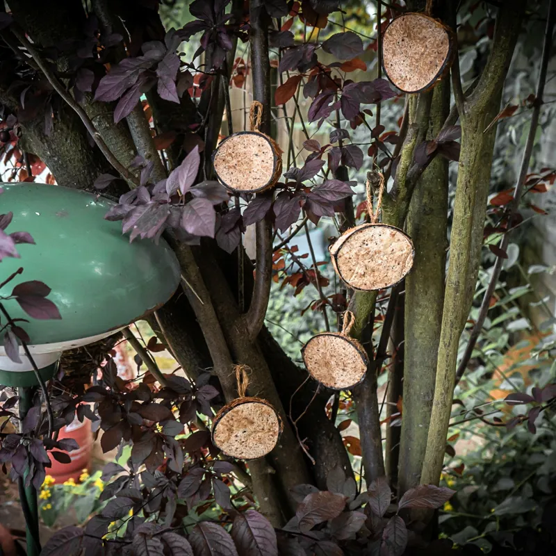 Copdock Mill Half Coconut Original 6 Pack-1